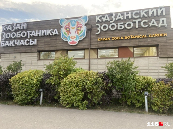 Сейчас в зоопарке живет один слон | Источник: Руфина Калимуллина / 116.RU