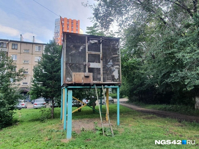 Источник: Полина Чернядьева / NGS42.RU
