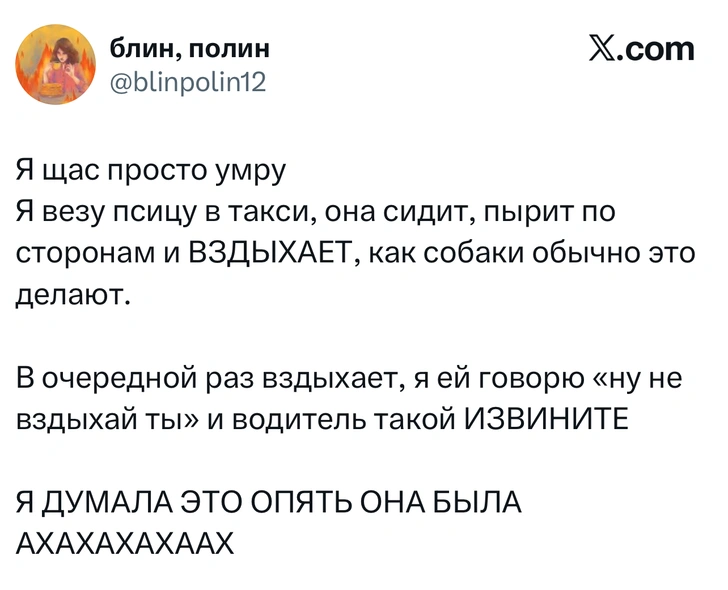 Источник: X (Twitter)