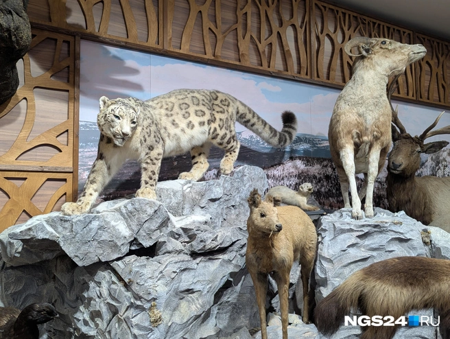 Бьянка работает тут с 2020 года | Источник: Мария Ленц / NGS24.RU