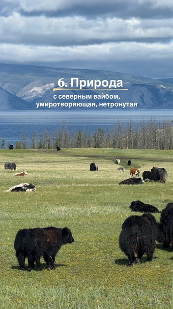 Источник: Анастасия Сахарова / Vk.com