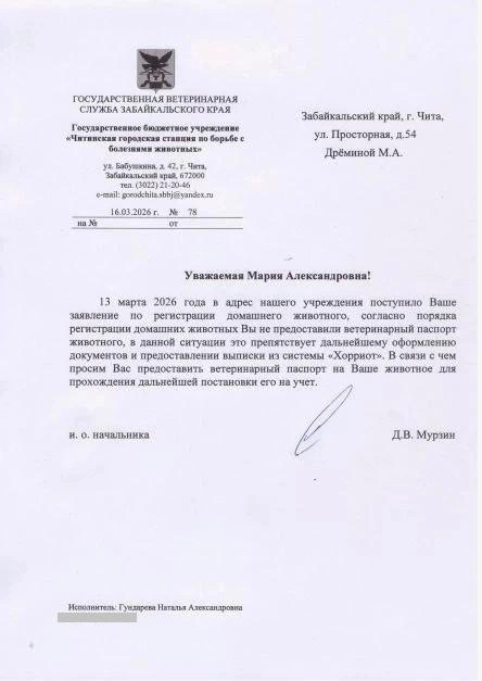 Источник: Мария Дрёмина