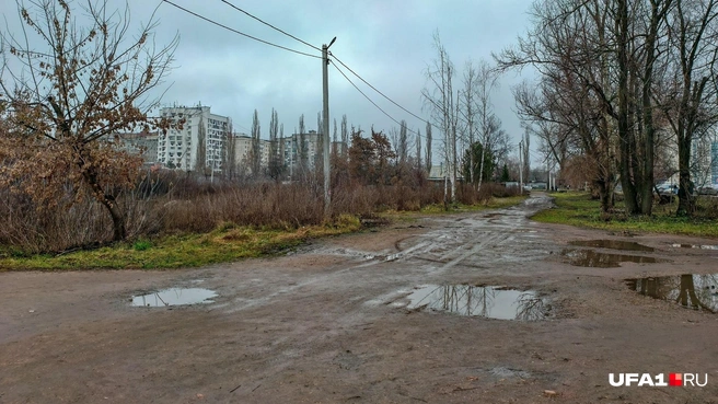 Кто бы мог подумать, что Док из фильма «Назад в будущее» собирался ехать в Инорс | Источник: Булат Салихов / UFA1.RU