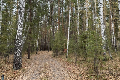 В Зауралье объявили пожароопасный сезон