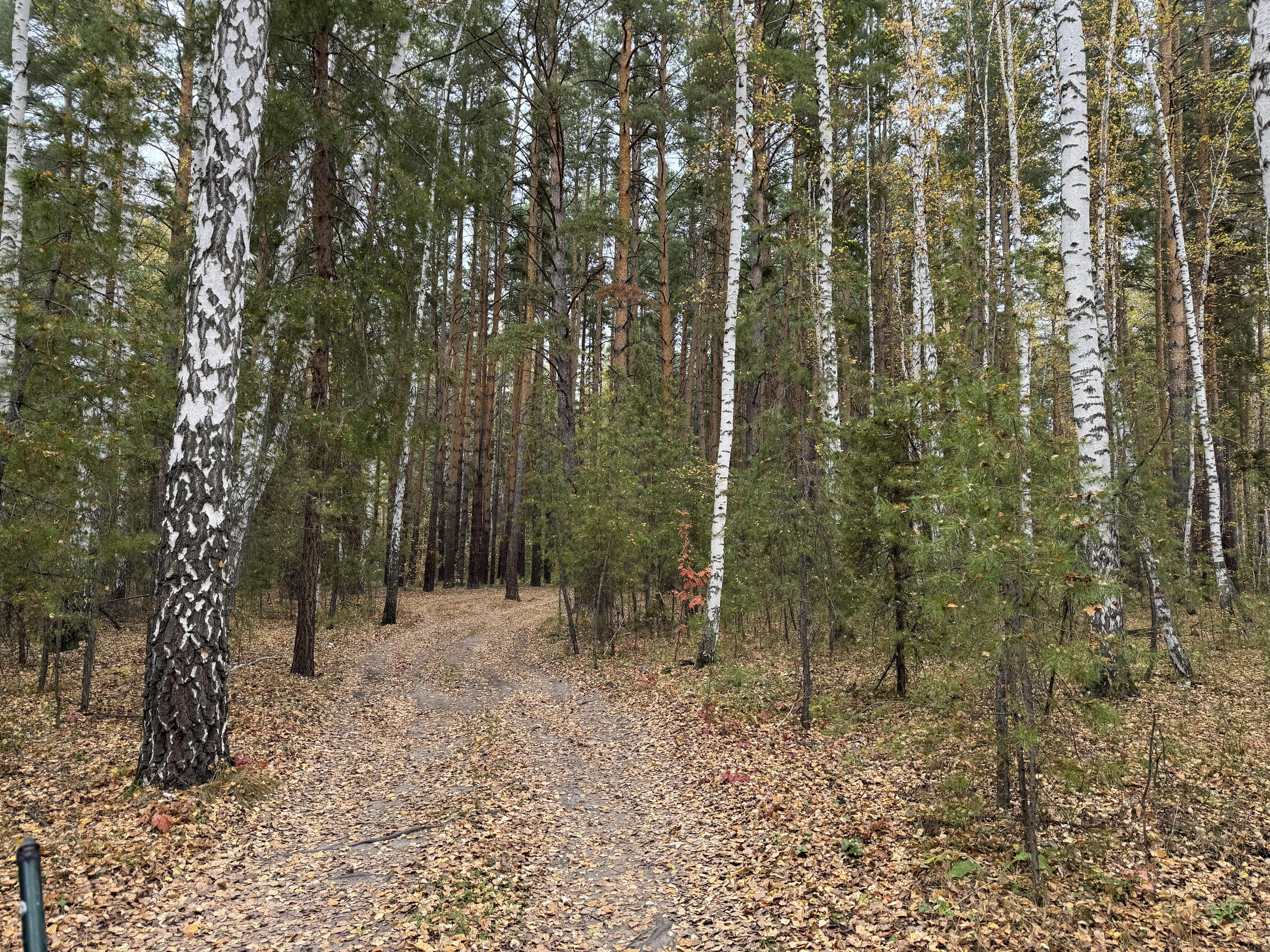 В Зауралье ввели пожароопасный сезон. Что это значит