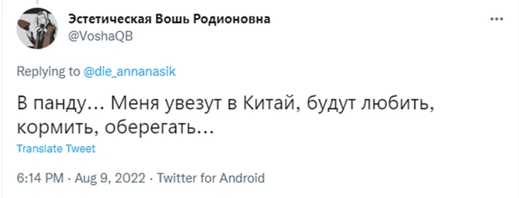 «Хочу быть пандой»: образ жизни каких животных нам кажется привлекательным