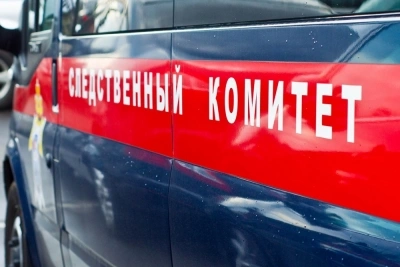 На Камчатке возбудили дело об убийстве матерью новорожденного