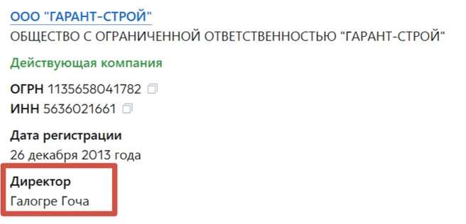 Реквизиты «Гарант-Строя» | Источник: Checko.ru