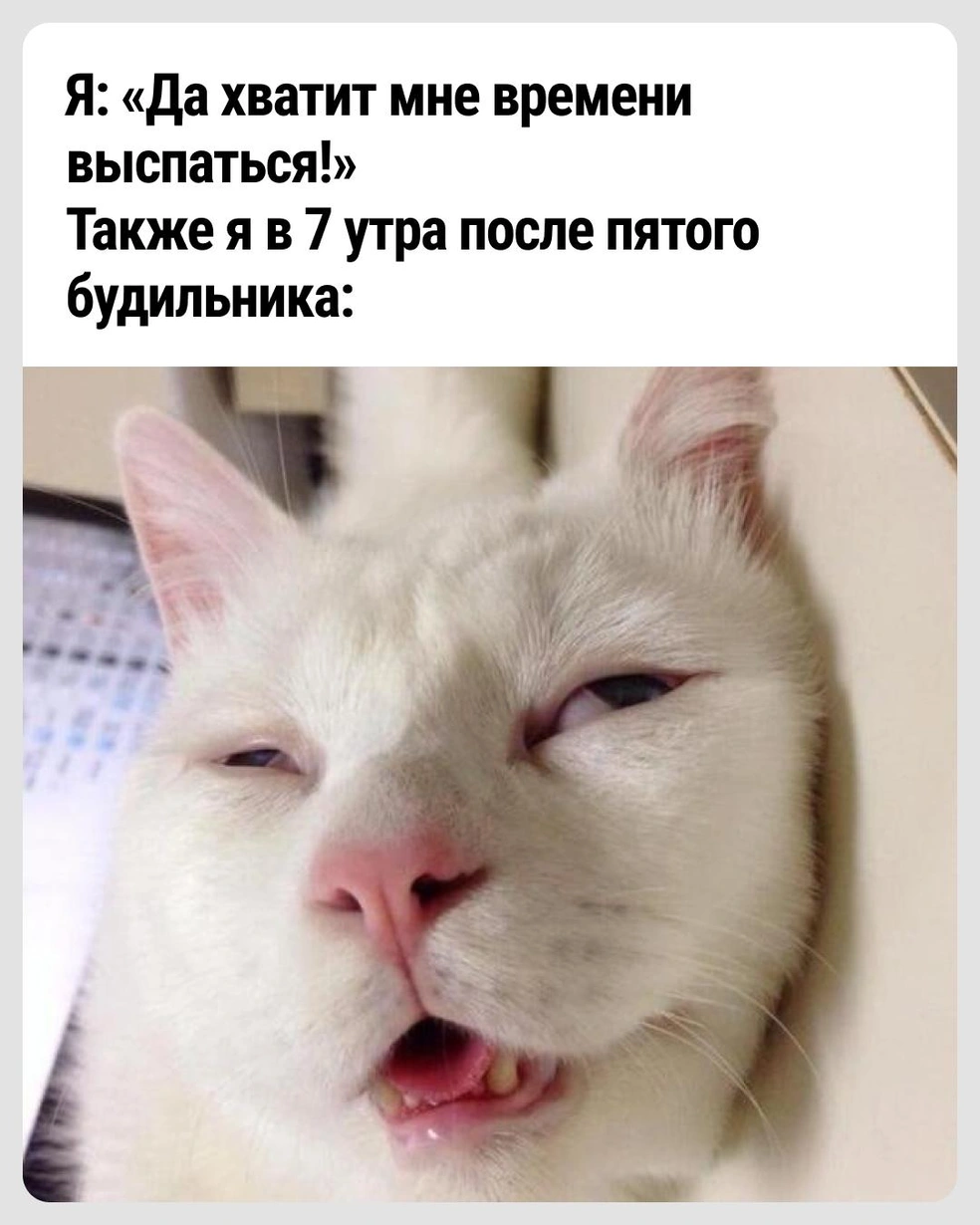Чтобы подняться, нужны силы | Источник: Городские медиа