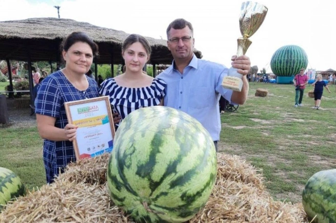 Еще недавно арбузы Виталия можно было купить уже в 20-х числах июля | Источник: Правительство Оренбургской области