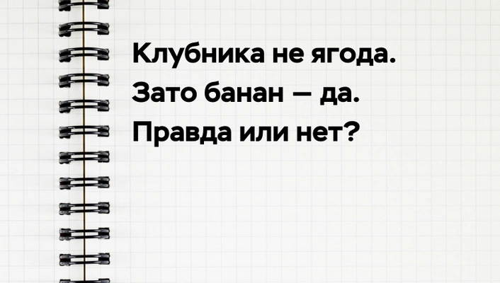 [quiz] Сможешь отличить популярный «научный» миф от правды?