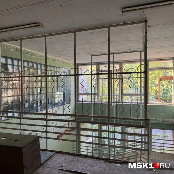 Источник: Алина Мельникова / MSK1.RU