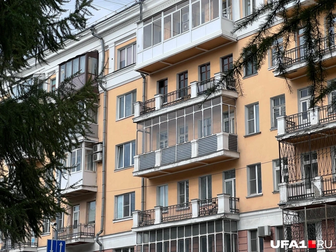 А тут, из-за елей, кажется, что мы где-то на югах, а не в глубине Сибири | Источник: Андрей Бирюков / UFA1.RU