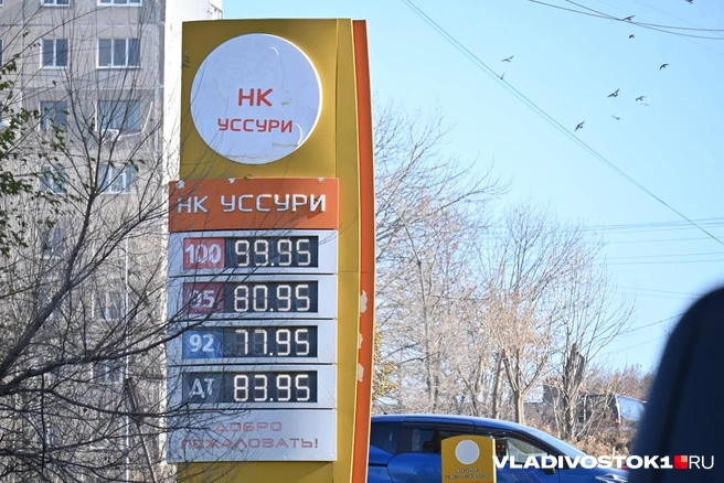 Источник: Елена Буйвол / VLADIVOSTOK1.RU