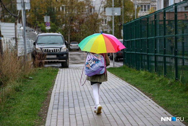 Оксана ищет видеозаписи с камер наблюдения и регистраторов | Источник: Наталья Бурухина / NN.RU