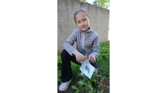 Источник: 43.rosguard.gov.ru