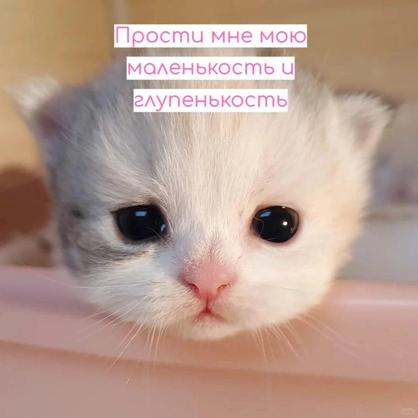 Источник: Социальные сети