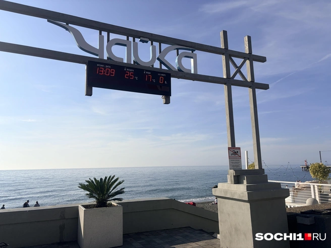 Температура воздуха почти летняя  | Источник: Анна Грицевич / SOCHI1.RU