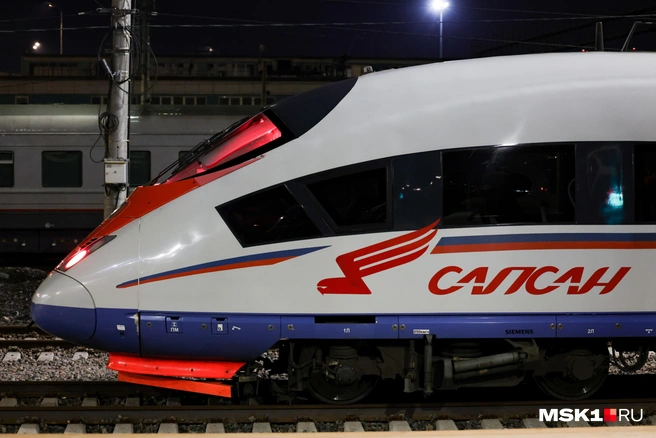 Между Москвой и Санкт-Петербургом запустили дополнительные «Сапсаны» | Источник: Дмитрий Толстошеев / MSK1.RU