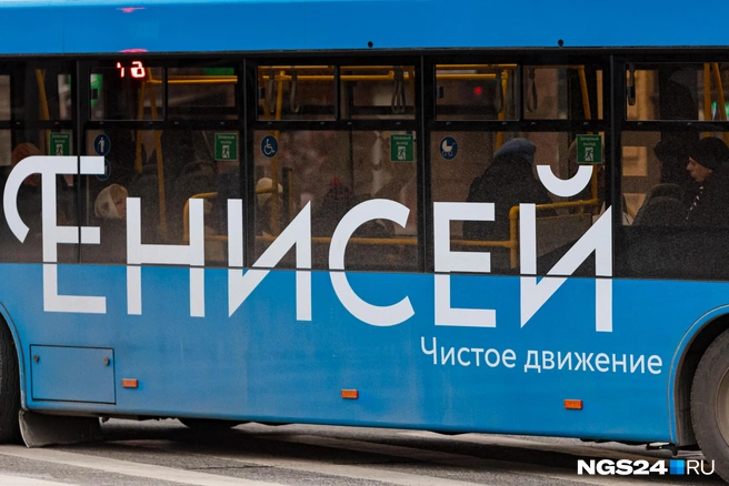 Уже запылились | Источник: Мария Ленц / NGS24.RU
