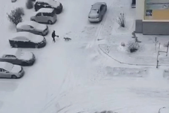 Нападение произошло в Затулинском жилмассиве | Источник: АСТ-54 Black / Telegram