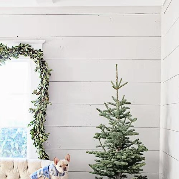 Источник: Dreamy Whites