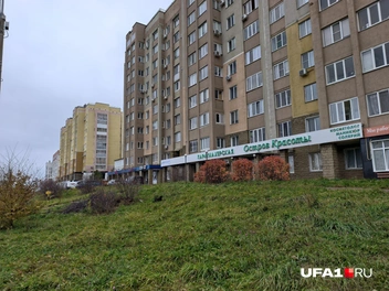 Источник: Булат Салихов / UFA1.RU