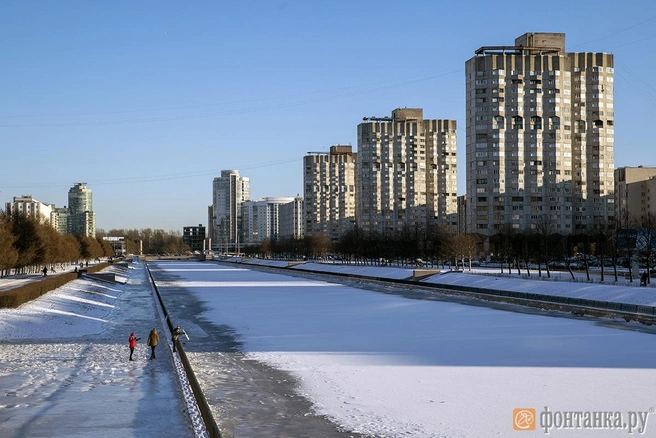 Источник: автор фото Константин Селин/«Фонтанка.ру»
