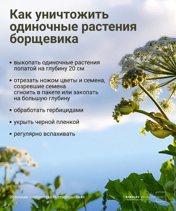 Источник: Виталий Калистратов / Городские медиа