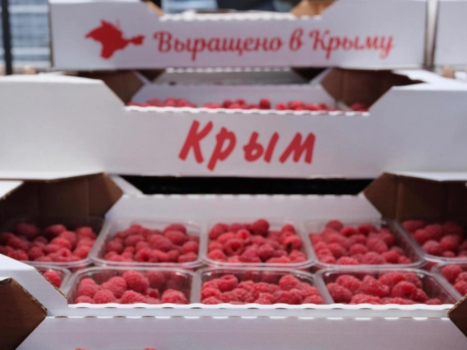 В основном малину сейчас везут из Крыма | Источник: София Земляных / MSK1.RU