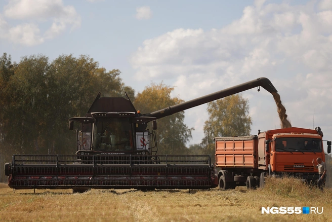 Современный комбайн может заменить 3–4 старые машины  | Источник: Евгений Софийчук / NGS55.RU 