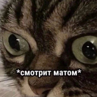 Аватарка Белоголовая