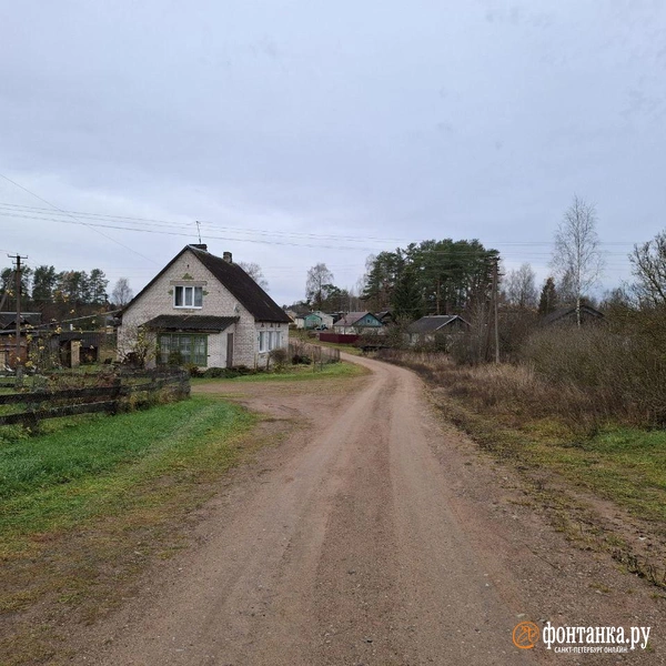 Источник: Ирина Багликова / «Фонтанка.ру»