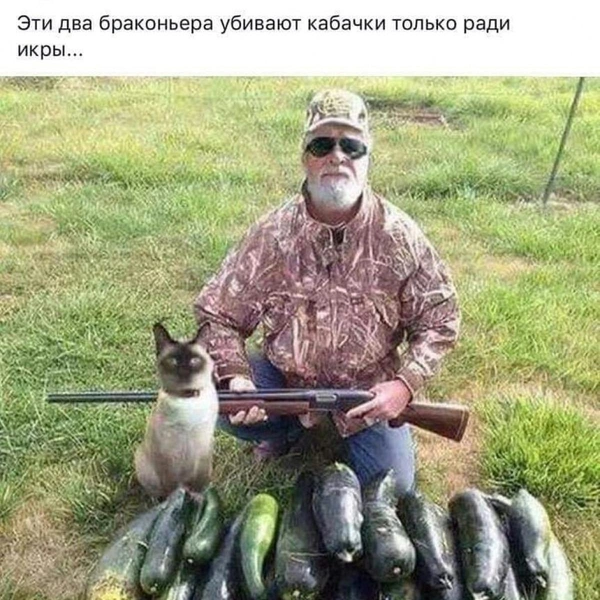 Источник: соцсети