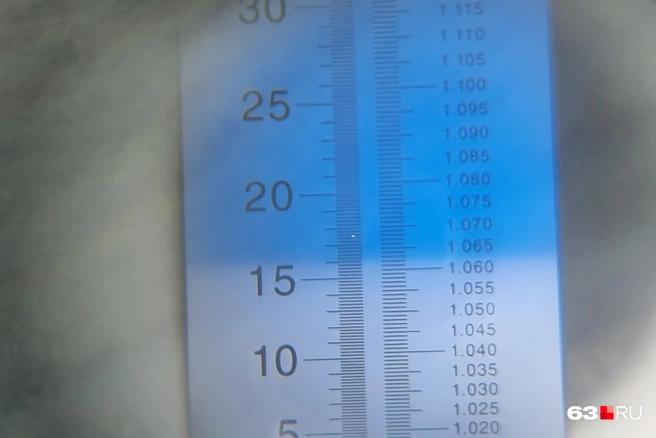 Смотрим, какой процент сахара показывает | Источник: Роман Данилкин / 63.RU