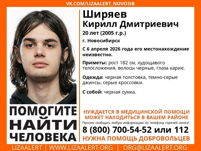 Источник: «ЛизаАлерт Новосибирская область»