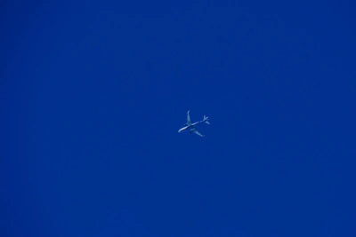 Супруга капитана «Авангарда» вернулась из ОАЭ