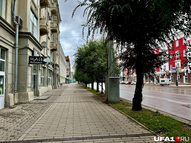 Улица Ленина в Красноярске | Источник: Андрей Бирюков / UFA1.RU