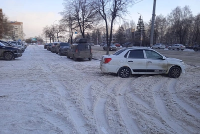В Ульяновске начало недели будет холоднее нормы