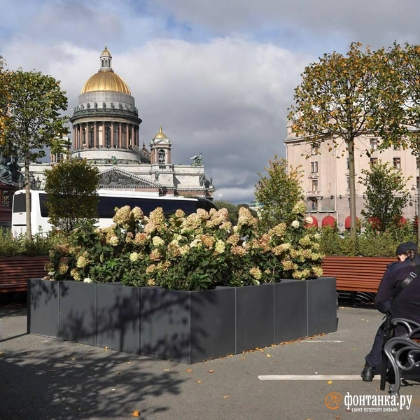Источник: Павел Даиси / «Фонтанка.ру»