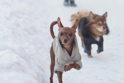 Синоптики: погода в Иркутске ухудшится в выходные