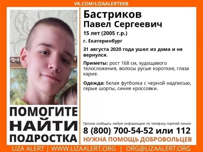 Источник: «Лиза Алерт»