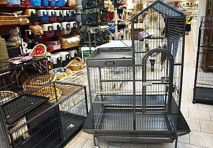 В рязанском зоомагазине незаконно продавали лекарства | ya62.ru