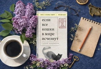 «Если все кошки в мире исчезнут»: о чем эта книга с точки зрения психолога