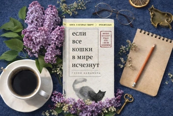 «Если все кошки в мире исчезнут»: о чем эта книга с точки зрения психолога