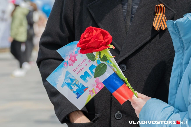 Источник: Елена Буйвол / VLADIVOSTOK1.RU