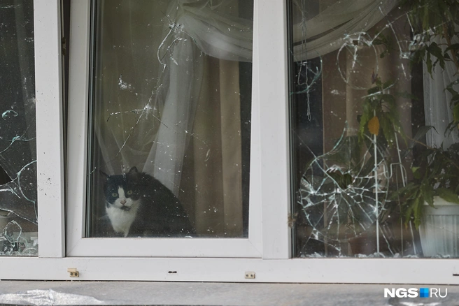 В соседнем доме из-за взрыва разбились окна  | Источник: Александр Ощепков / NGS.RU