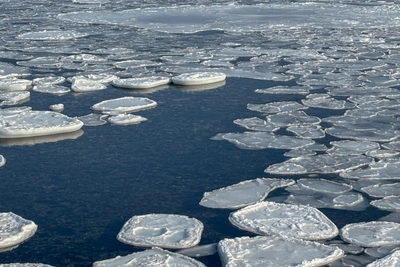 Судно Авива застряло в море на три дня