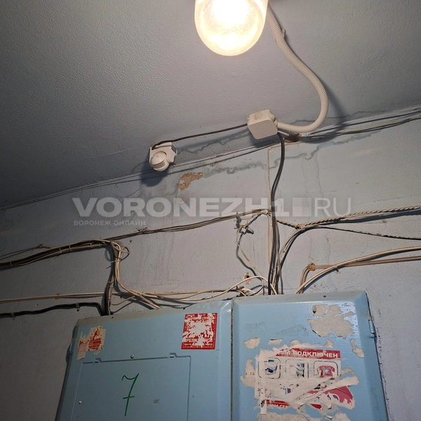 Источник: Алёна Воропаева / Voronezh1.ru