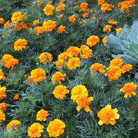 Аватарка Рита